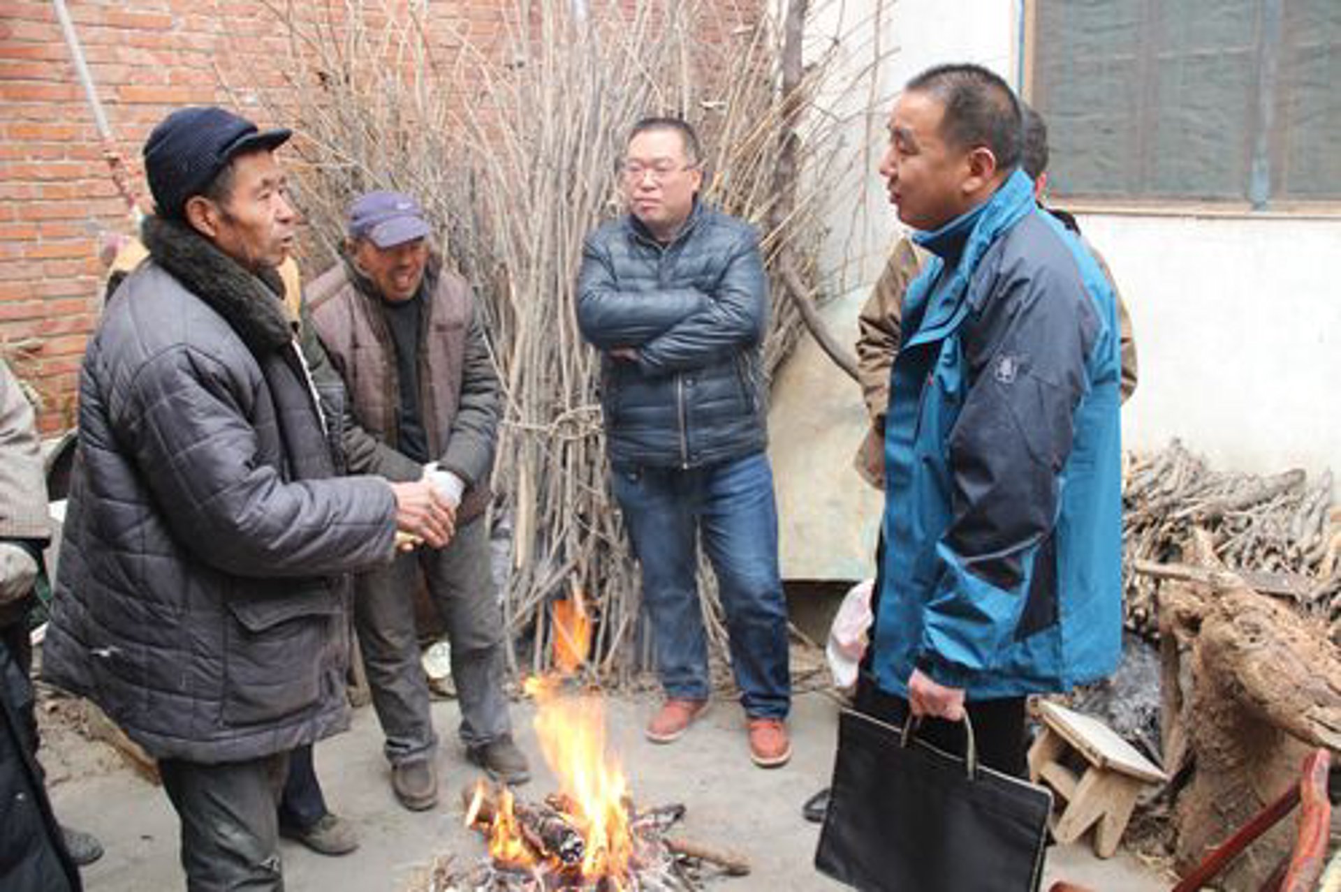 陈家庄文旅