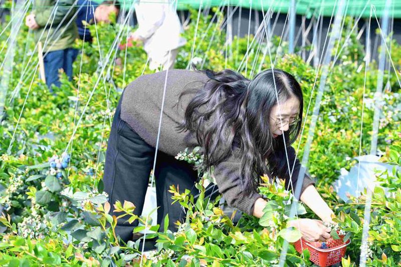 生态旅游：自然与人文的和谐共舞